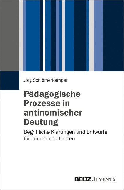 Pädagogische Prozesse in antinomischer Deutung - Jörg Schlömerkemper