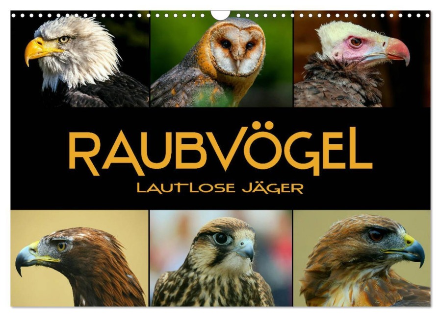 Raubvögel - lautlose Jäger (Wandkalender 2026 DIN A3 quer), CALVENDO Monatskalender - Renate Bleicher