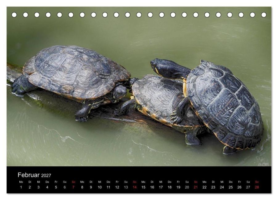 InsideView 7