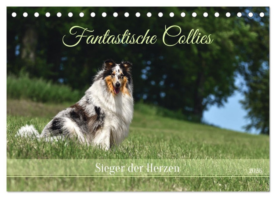Fantastische Collies - Sieger der Herzen (Tischkalender 2026 DIN A5 quer), CALVENDO Monatskalender - Yvonne Janetzek