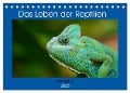 Das Leben der Reptilien (Tischkalender 2025 DIN A5 quer), CALVENDO Monatskalender - Kattobello Kattobello