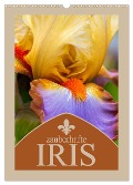 Zauberhafte Iris (Wandkalender 2025 DIN A3 hoch), CALVENDO Monatskalender - Steffen Gierok