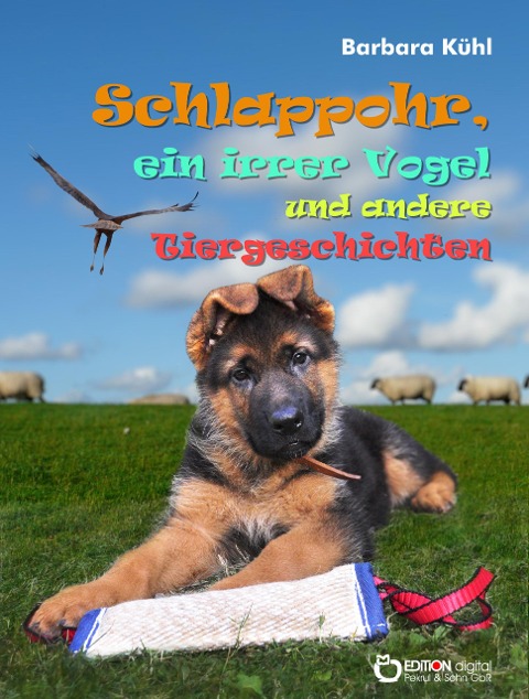 Schlappohr, ein irrer Vogel und andere Tiergeschichten - Barbara Kühl