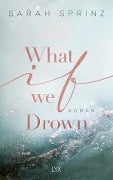Cover-Bild zum Titel 'What if we Drown' von 'Sarah Sprinz'
