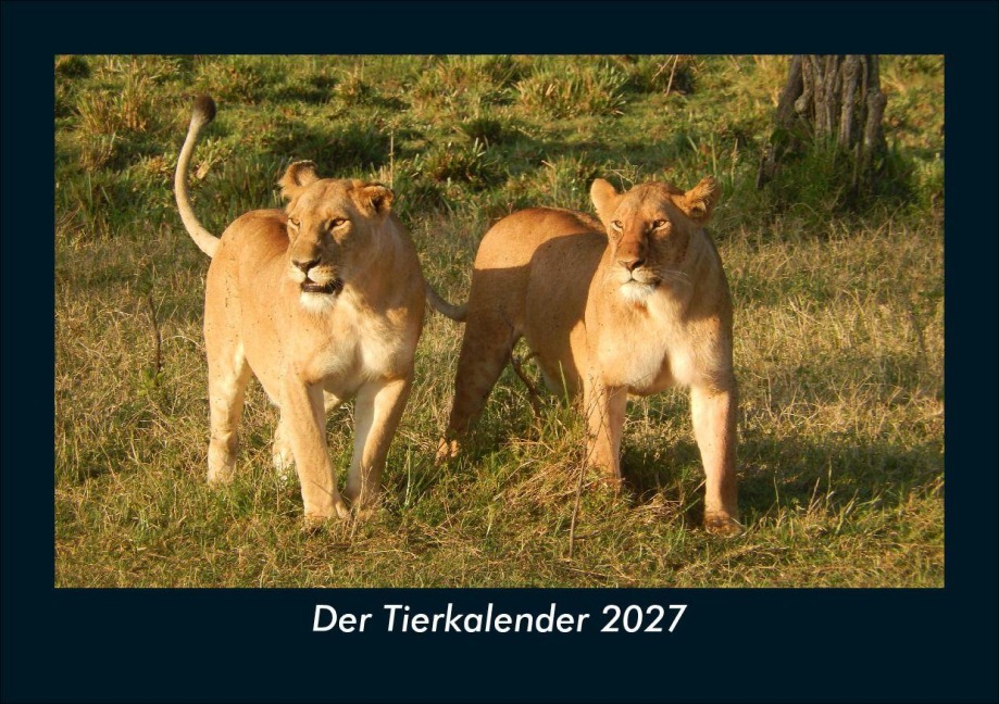 Der Tierkalender 2027 Fotokalender DIN A5 - Tobias Schmitt, Kevin Heber