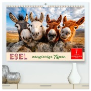 Esel - neugierige Typen (hochwertiger Premium Wandkalender 2025 DIN A2 quer), Kunstdruck in Hochglanz - Peter Roder