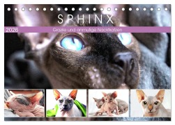 Sphinx. Grazile und anmutige Nacktkatzen (Tischkalender 2026 DIN A5 quer), CALVENDO Monatskalender - Rose Hurley