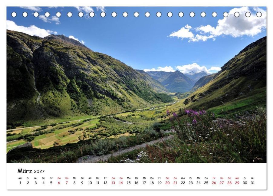 InsideView 8
