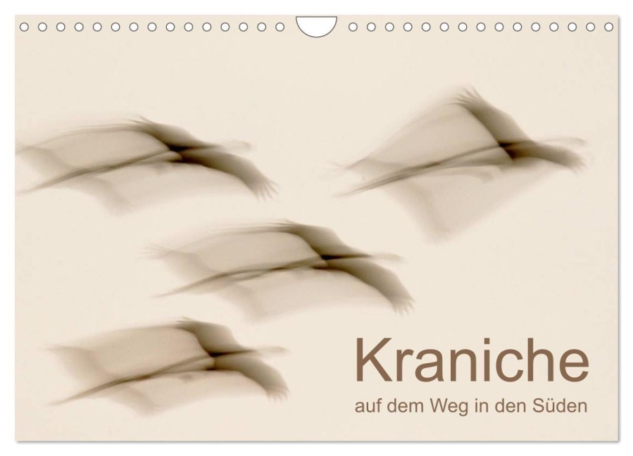 Kraniche auf dem Weg nach Süden (Wandkalender 2027 DIN A4 quer), CALVENDO Monatskalender - N. Wilhelm