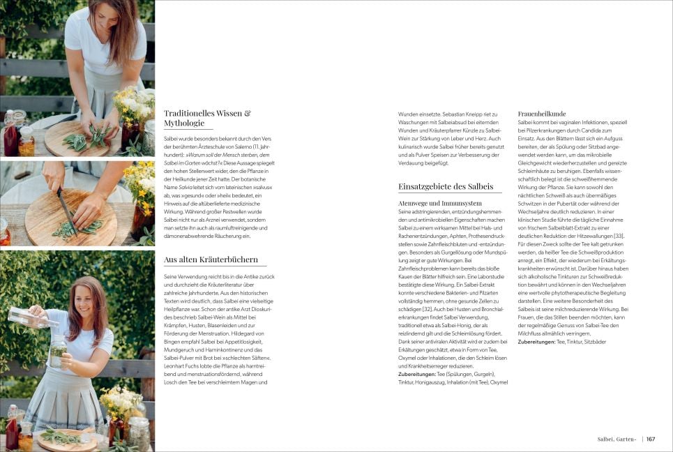 InsideView 5