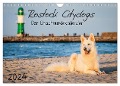 Rostock Citydogs - Der Stadthundekalender (Wandkalender 2024 DIN A4 quer), CALVENDO Monatskalender - Jill Langer