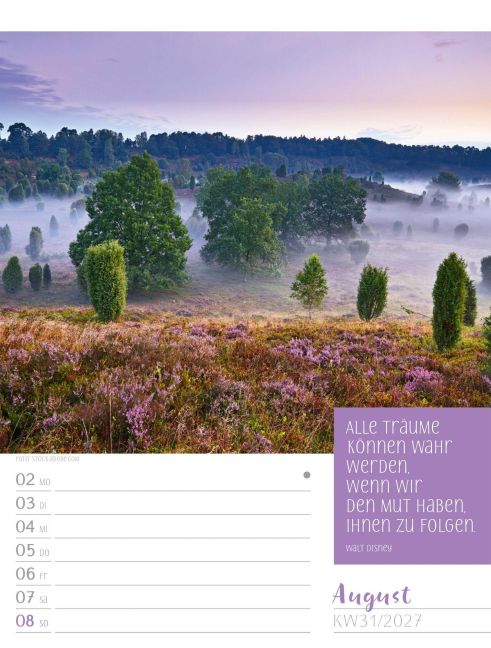 InsideView 35