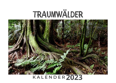 Traumwälder - Bibi Hübsch