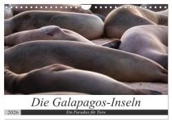 Cover-Bild zum Titel 'Galapagos-Inseln - Ein Paradies für Tiere (Wandkalender 2026 DIN A4 quer), CALVENDO Monatskalender' von 'Jeanette Dobrindt'