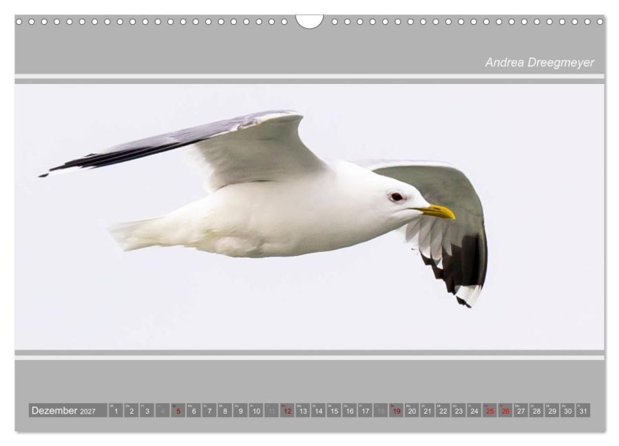 InsideView 4