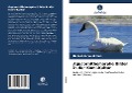 Cover-Bild zum Titel 'Aquaornithomorphe Bilder in der Komi-Kultur' von 'Nadezhda Volokitina'