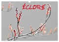 ÉCLORE (Calendrier mural 2025 DIN A3 vertical), CALVENDO calendrier mensuel - Patrice Thébault