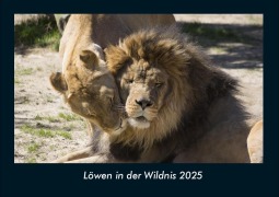 Cover-Bild zum Titel 'Löwen in der Wildnis 2025 Fotokalender DIN A4' von 'Tobias Becker'