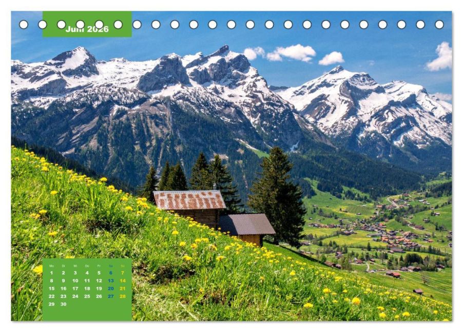 InsideView 11