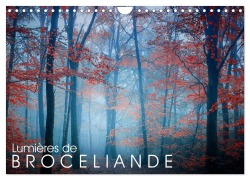 Cover-Bild zum Titel 'Lumières de Brocéliande (Calendrier mural 2026 DIN A4 vertical), CALVENDO calendrier mensuel' von 'Philippe Manguin'