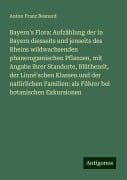 Bayern's Flora: Aufzählung der in Bayern diesseits und jenseits des Rheins wildwachsenden phanerogamischen Pflanzen, mit Angabe ihrer Standorte, Blüthezeit, der Linné'schen Klassen und der natürlichen Familien: als Führer bei botanischen Exkursionen - Anton Franz Besnard