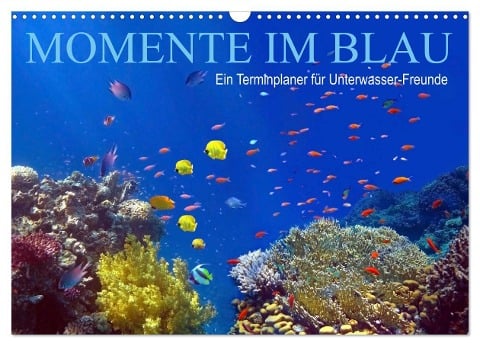 Momente im Blau - Ein Terminplaner für Unterwasser-Freunde (Wandkalender 2024 DIN A3 quer), CALVENDO Monatskalender - Tina Melz