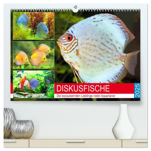 Diskusfische. Die bezaubernden Lieblinge vieler Aquarianer (hochwertiger Premium Wandkalender 2025 DIN A2 quer), Kunstdruck in Hochglanz - Rose Hurley