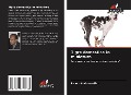 Cover-Bild zum Titel 'Tigre domestica in miniatura' von 'Ramin Amirmardfar'