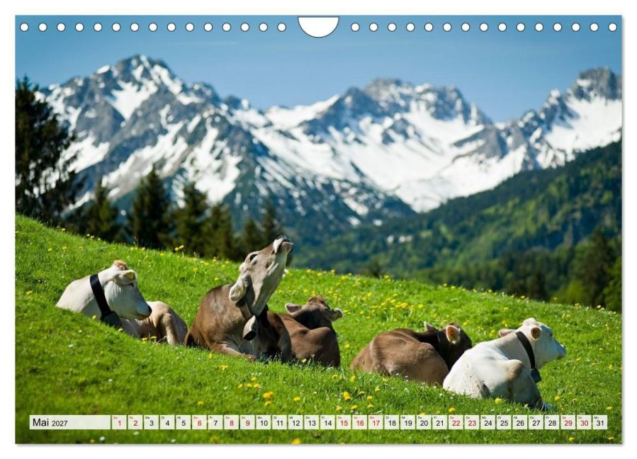 InsideView 10