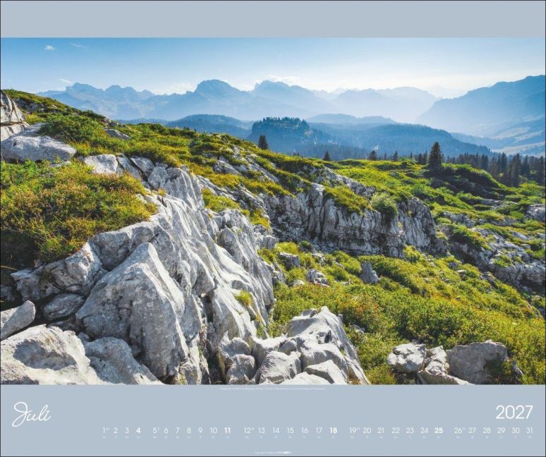 InsideView 7