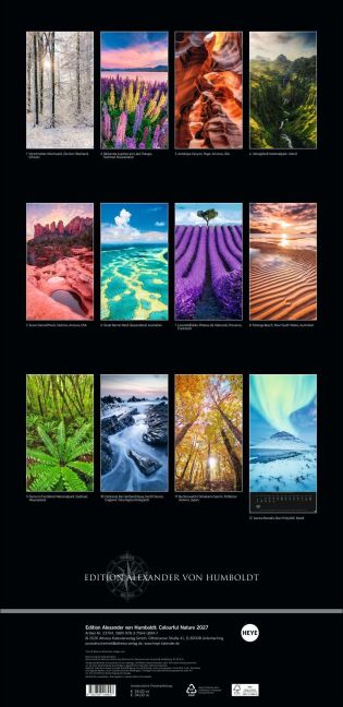 InsideView 15