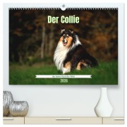 Cover-Bild zum Titel 'Der Collie der beste Hund der Welt (hochwertiger Premium Wandkalender 2026 DIN A2 quer), Kunstdruck in Hochglanz' von 'Yvonne Janetzek'