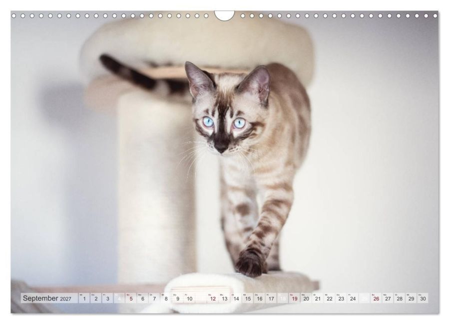 InsideView 14