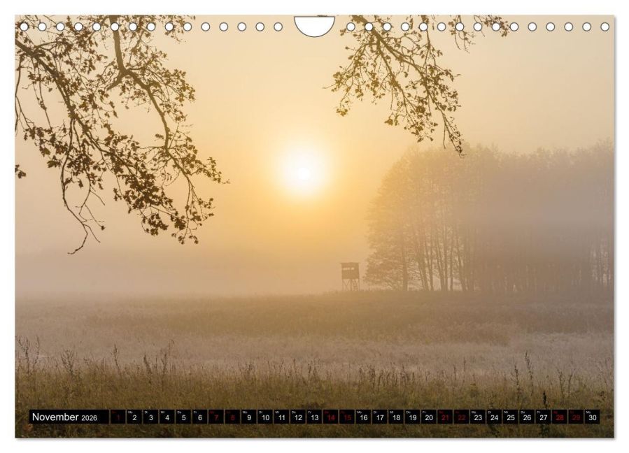 InsideView 3