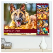 Malinois im Einsatz. Heldenhafte Hunde mit Ausdauer und Mut (hochwertiger Premium Wandkalender 2026 DIN A2 quer), Kunstdruck in Hochglanz - Rose Hurley