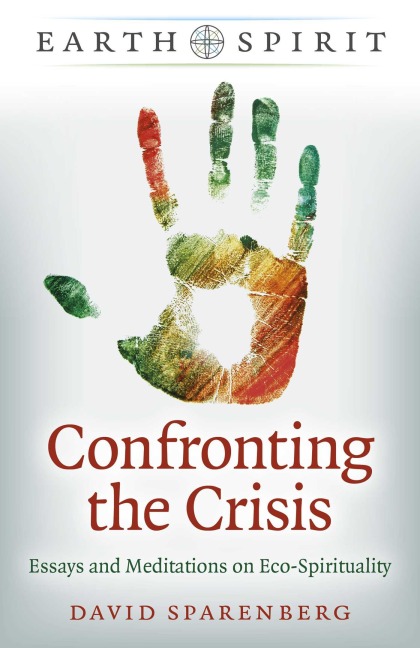 Confronting the Crisis - David Sparenberg