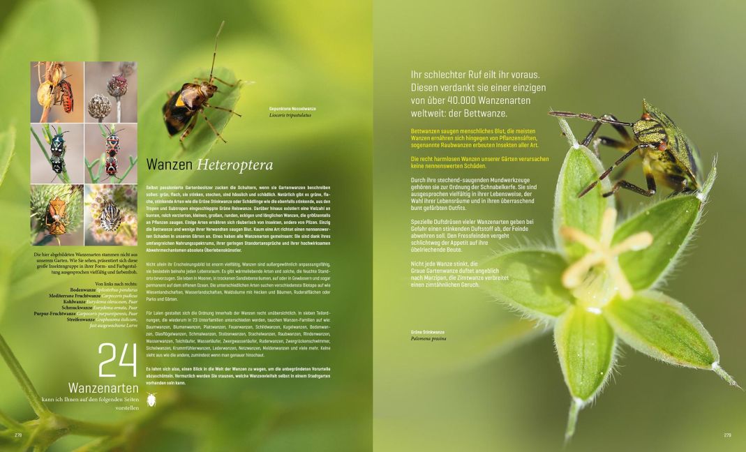 InsideView 13
