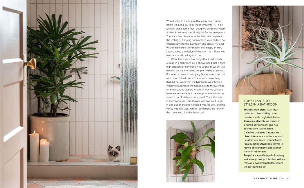 InsideView 5
