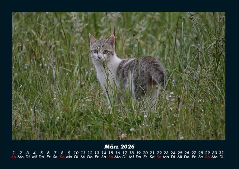 InsideView 7