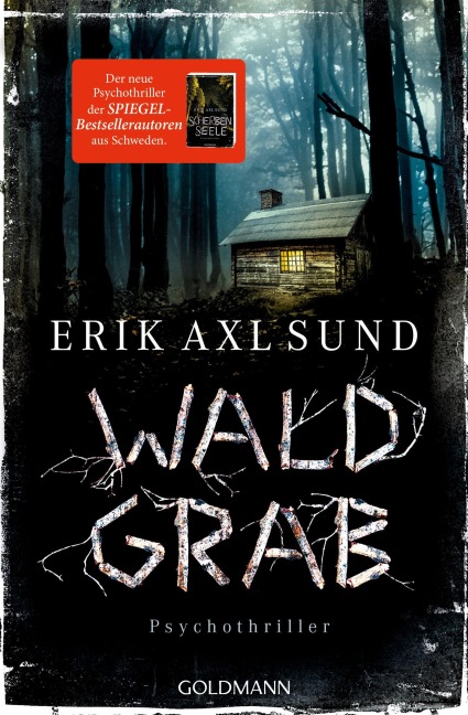 Waldgrab - Erik Axl Sund