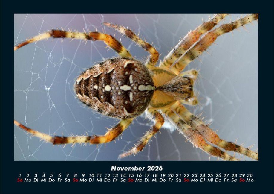 InsideView 3