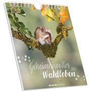Cover-Bild zum Titel 'Geheimnisvolles Waldleben' von ''