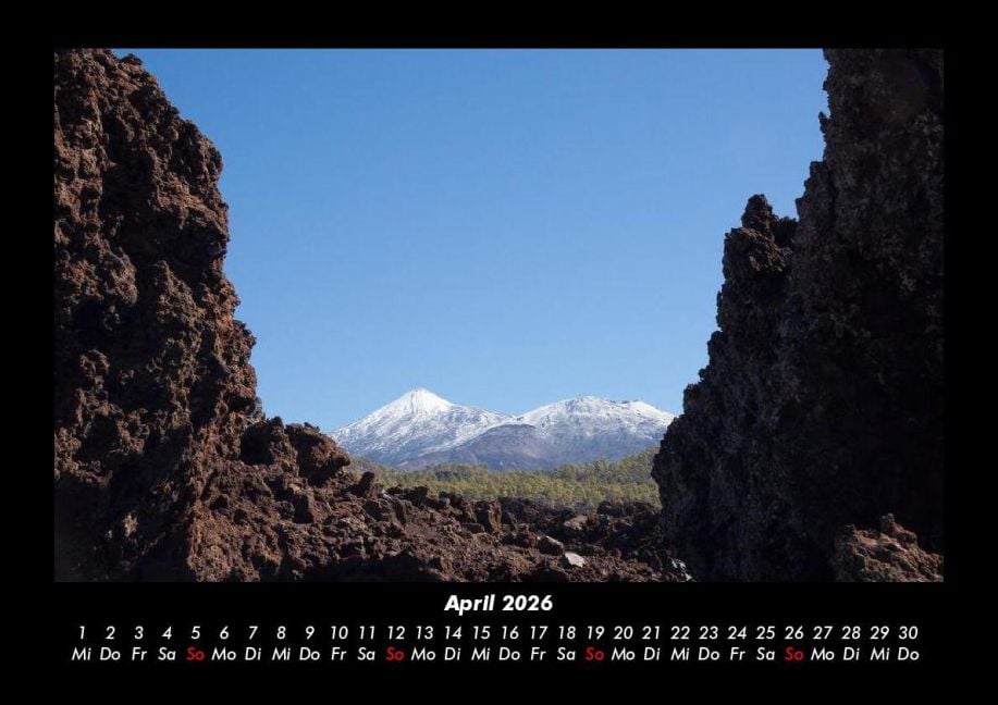 InsideView 8