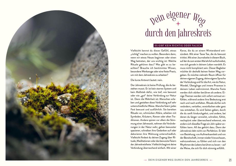 InsideView 3