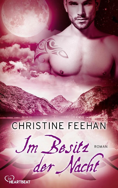 Im Besitz der Nacht - Christine Feehan