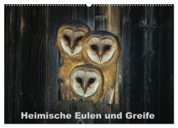 Cover-Bild zum Titel 'Heimische Eulen und Greife (Wandkalender 2026 DIN A2 quer), CALVENDO Monatskalender' von 'Günter Bachmeier'