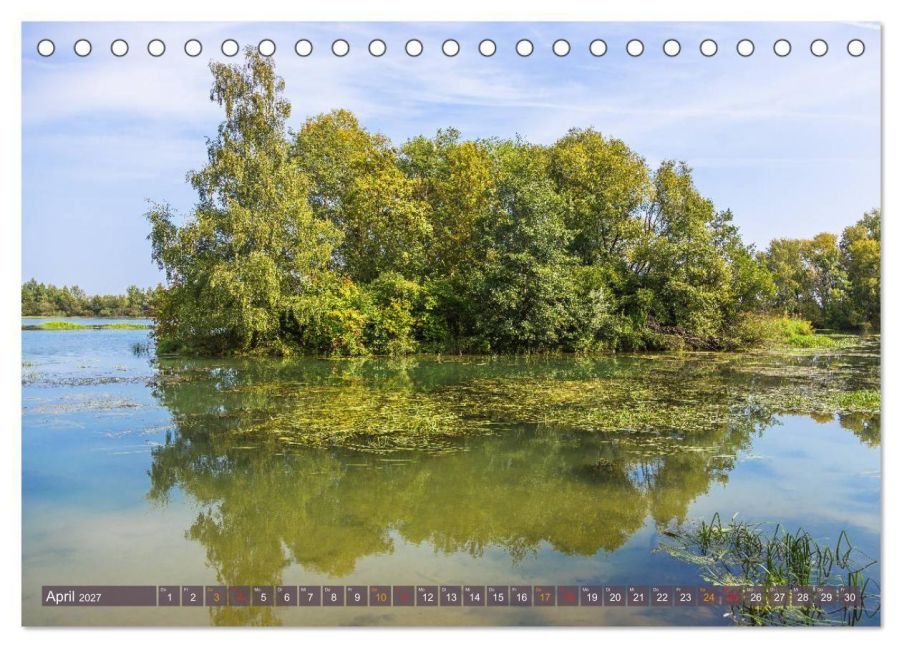 InsideView 9