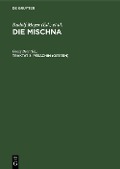 Cover-Bild zum Titel 'Pesachim (Ostern)' von ''