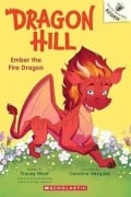 Cover-Bild zum Titel 'Ember der Feuerdrache' von 'Tracey West'