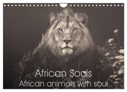 African Souls African animals with soul (Wall Calendar 2026 DIN A4 landscape), CALVENDO 12 Month Wall Calendar - Manuela Kulpa